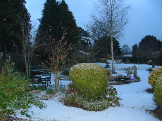 Garden in winter